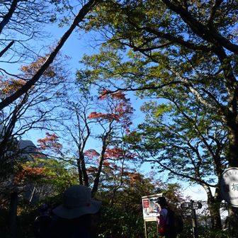 ベンチ3にて小休止