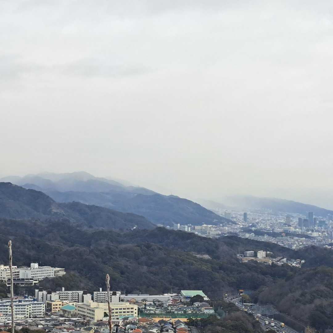 絶対雪❄だ