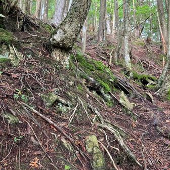 山頂直下は激斜面。