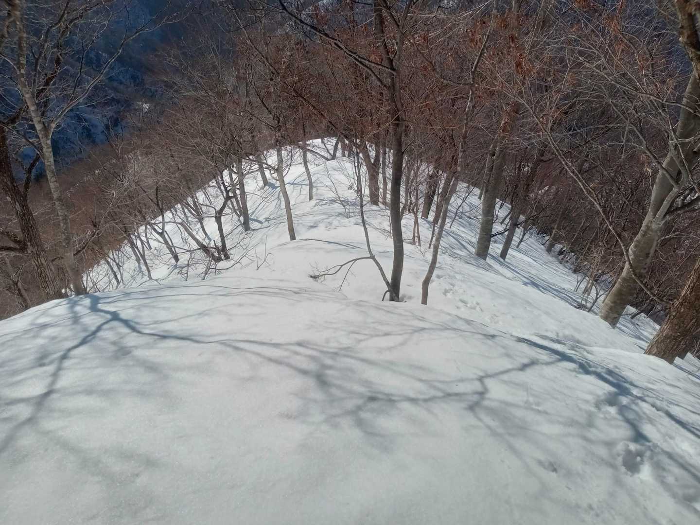 蕎麦粒山 往復コースの写真