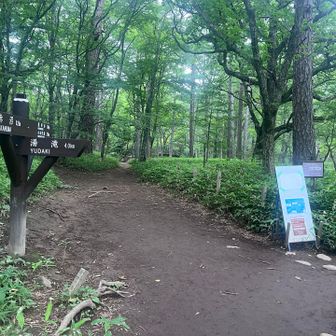 目指すは湯滝、湯ノ湖です