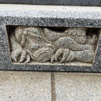 なんか可哀そう😣