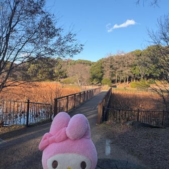 マイメロは橋渡ってみたい気分です🎶