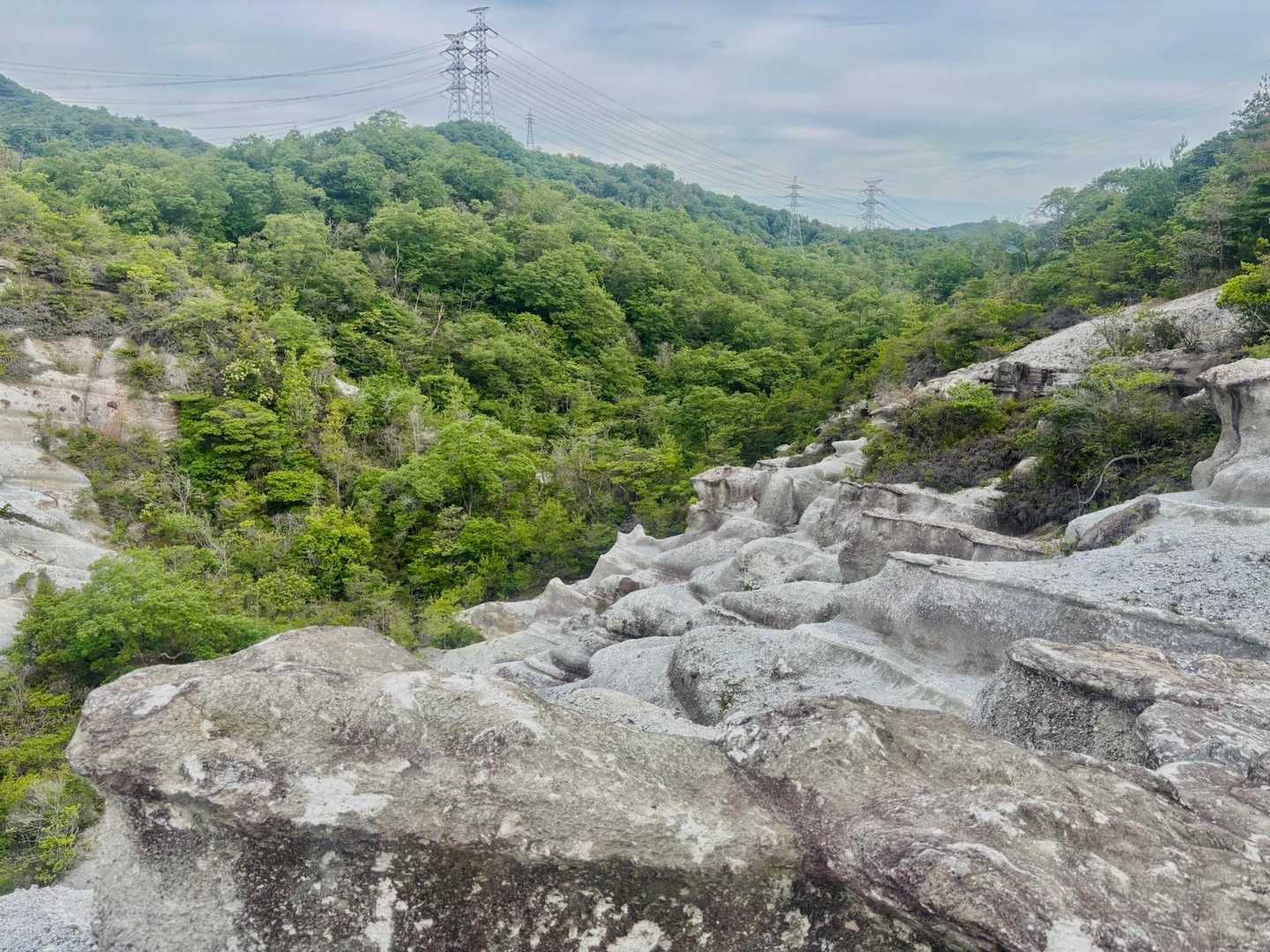 屯鶴峯・二上山（雌岳・雄岳） / しまんちゅRの登山データ | YAMAP