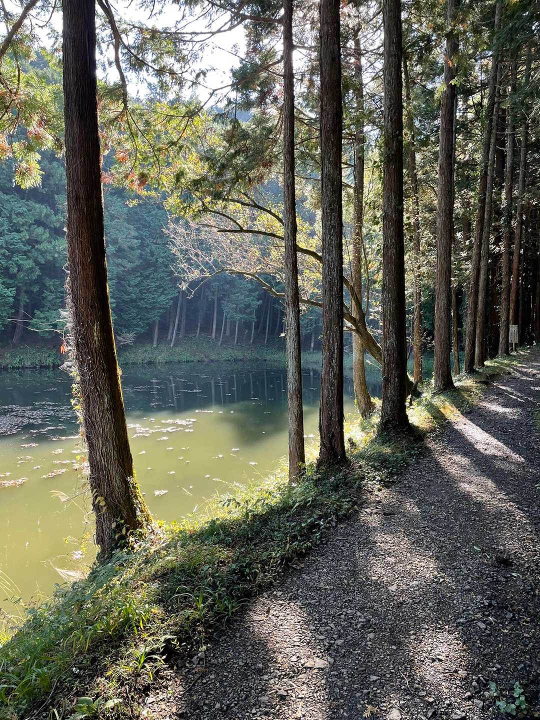 東武竹沢駅-三光神社登山口-天王池-官ノ倉山-外秩父七峰縦 縦走コースの写真
