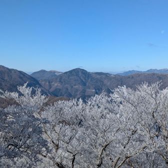 あちらは丸笹山かな