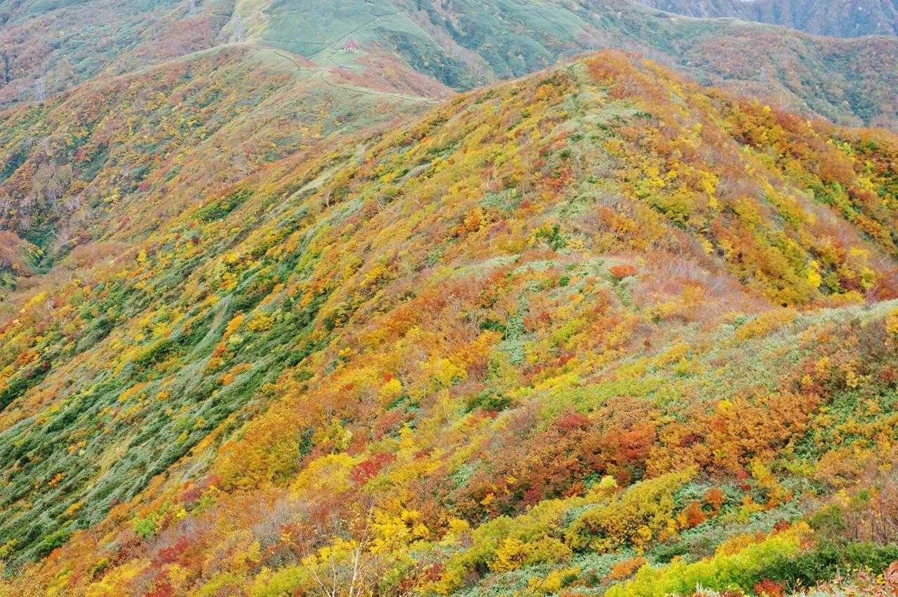 この景色の中を歩いて行けるって最高