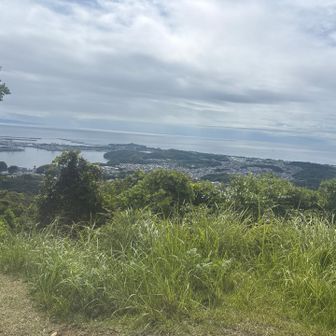 NHKBSの百低山に出てた高知南嶺の鷲尾山山頂から見た桂浜方面です。