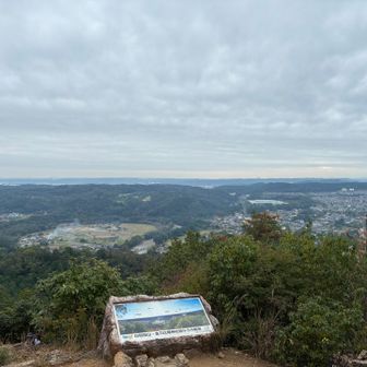 金刀比羅神社からの眺め