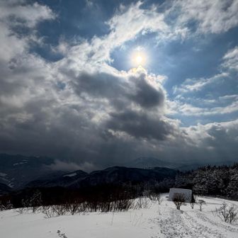 降りるのが惜しいで 雪遊びします🫶