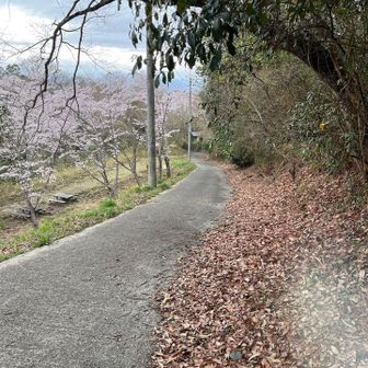 ルートにも記載されてたけど、ほんま登り口わかりにくし💦