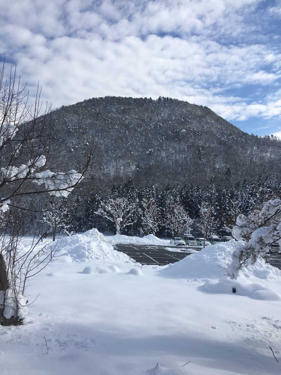 久しぶりの大岡山です。