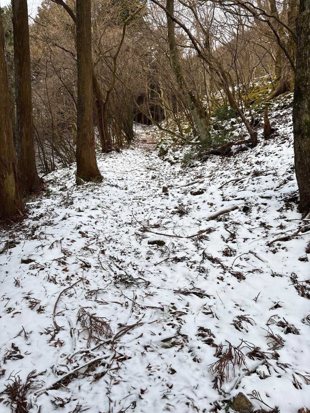少しだけ雪