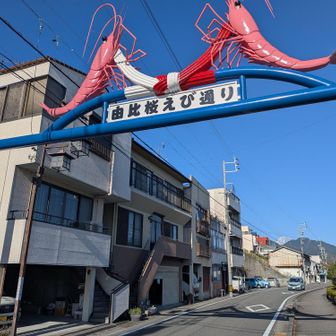 駅前の桜えび通り