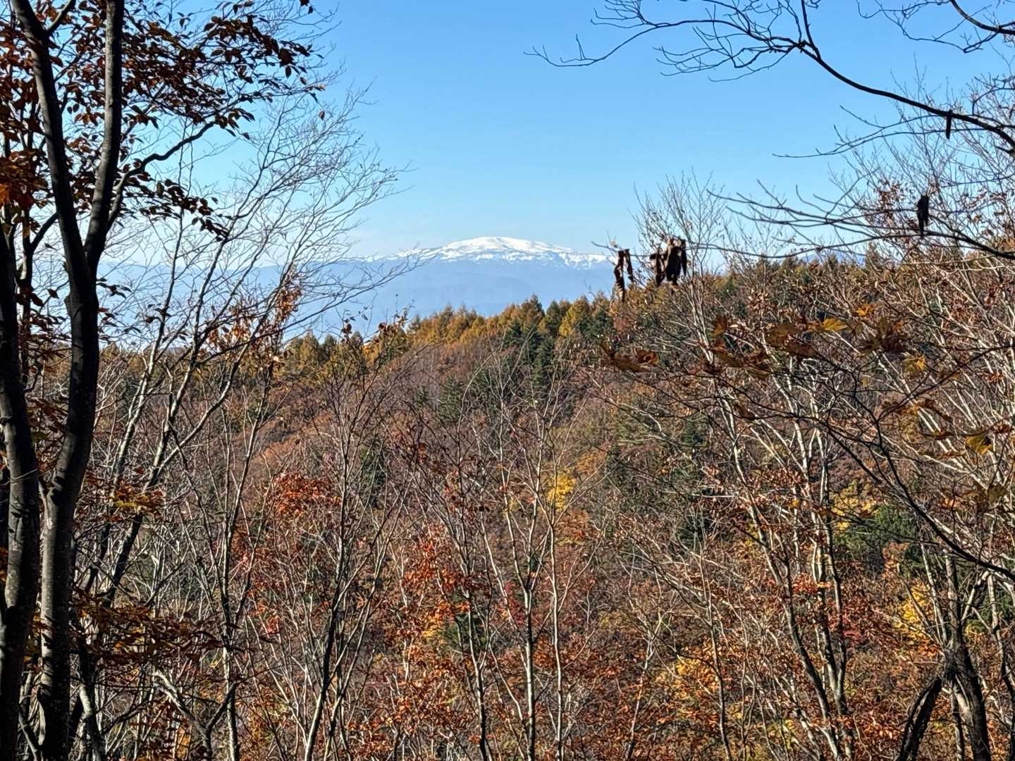 月山⛰️登ってる人いますかー🗣️