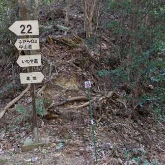 往路で通った、中山道・いわや道・北地・太龍寺山の分岐点に下りて来ました