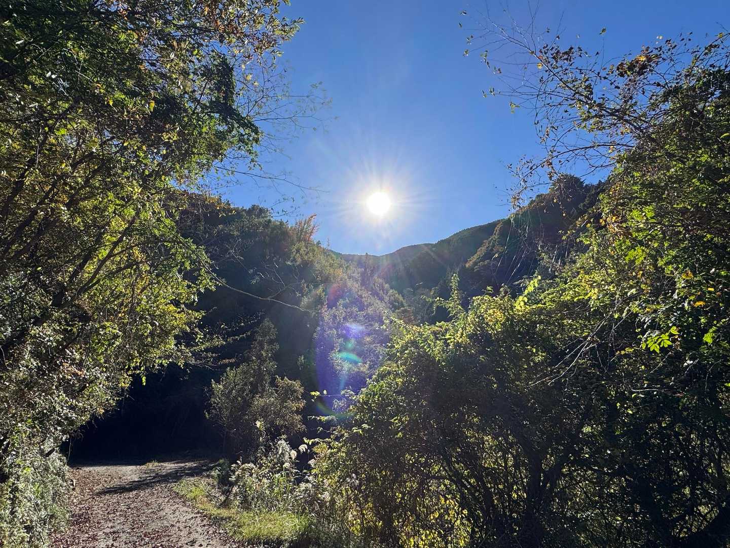 今年いちばんのお天気お山でした♪