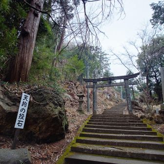 だいぶ左側🌳切ってさっぱりしてます