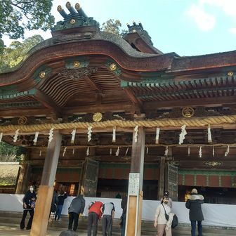 里山こーちゃん