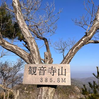 暑いくらいの天気☀️