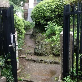 大雨の中．．．登る❗．