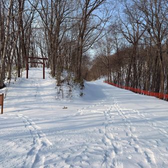 本宮の右に行きます
ここからスノーシューに