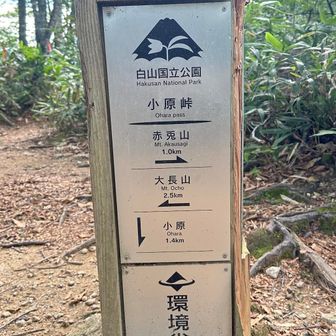 あともーちょっと