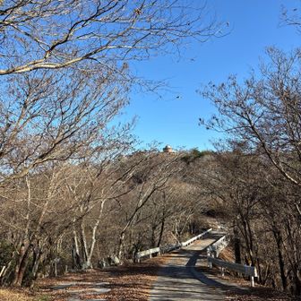 周回ルート、車道でもどる