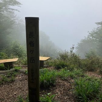 長者ヶ岳山頂、富士山は霧の中