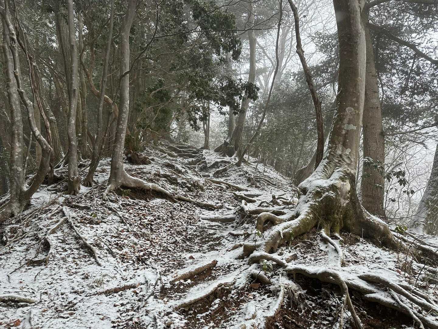 雪❄️⛄️