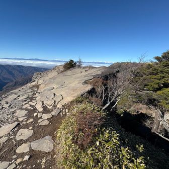 下山道は、王ヶ頭には寄らず、
迂回コースで烏帽子岩🪨に寄ったりしました