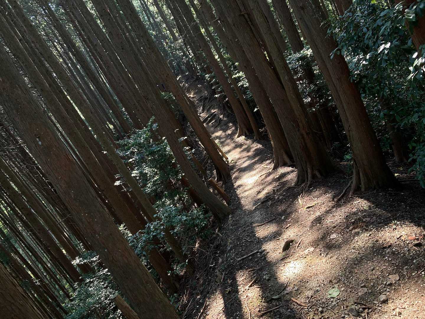 吸い込む息は ムネの途中でつかえた✨♬.*ﾟ
