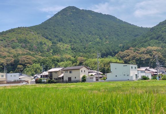 女山（滋賀・270m）| 登山ルート・天気 | YAMAP / ヤマップ