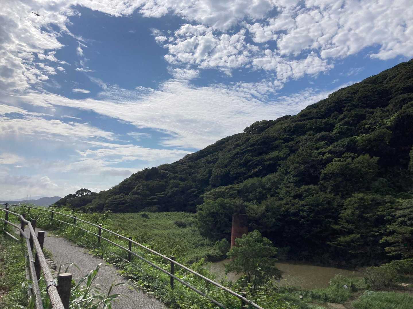 かなり整ったので明日から仕事がんばろ( ⋅֊⋅ )‎و 
ヤブランの花言葉「隠された心」「忍耐」
なんか最高やな👍
