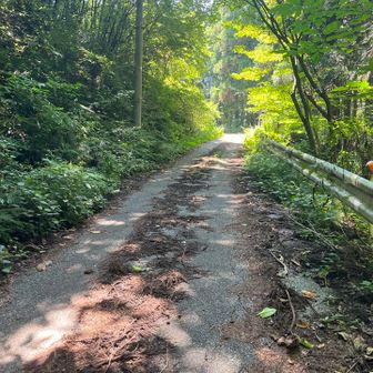林道を歩き車の回収へ。