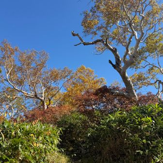 青空に映えるな〜