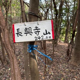 鉄塔の傍をこえて