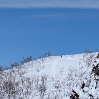 【こつぶり山】山頂方向