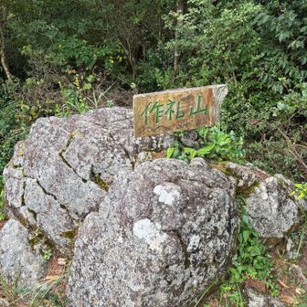 山頂、帰りは権現山に行って戻り。雨パラパラ