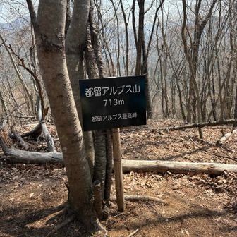 wangmin