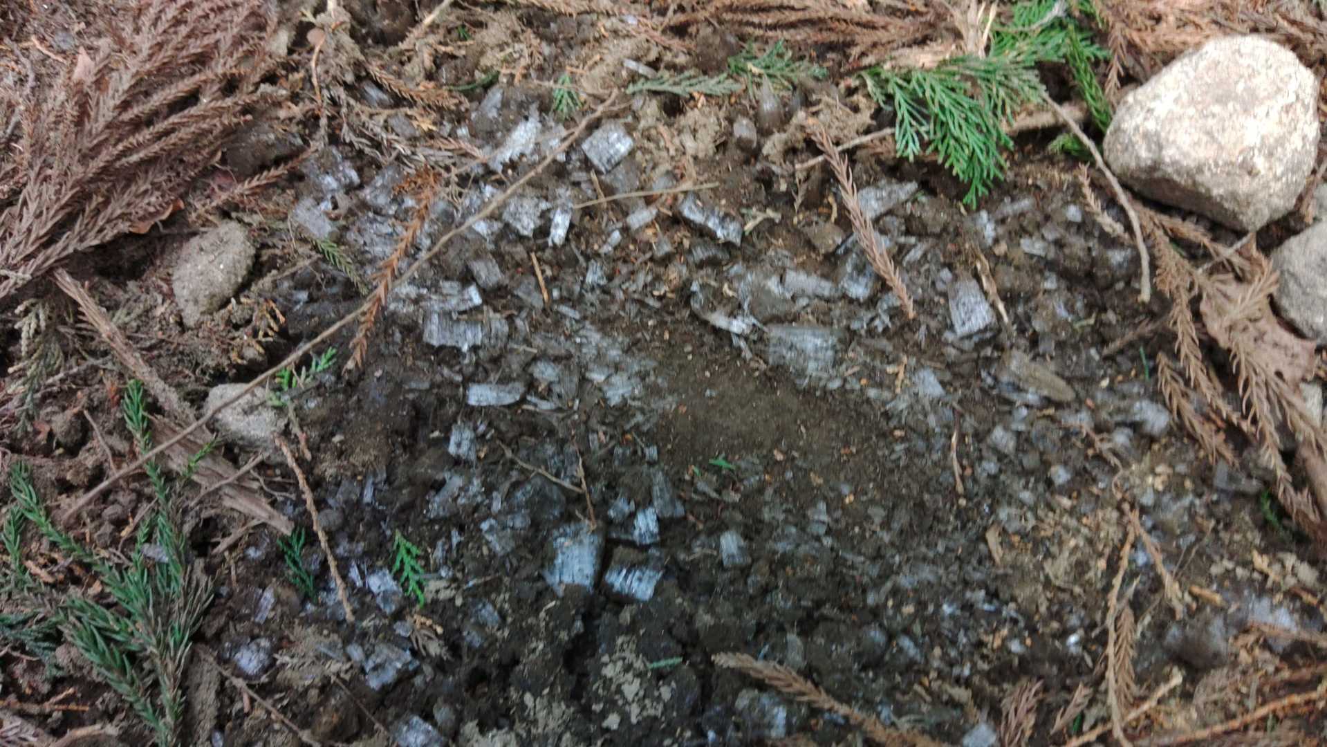 霜柱の割れたの？