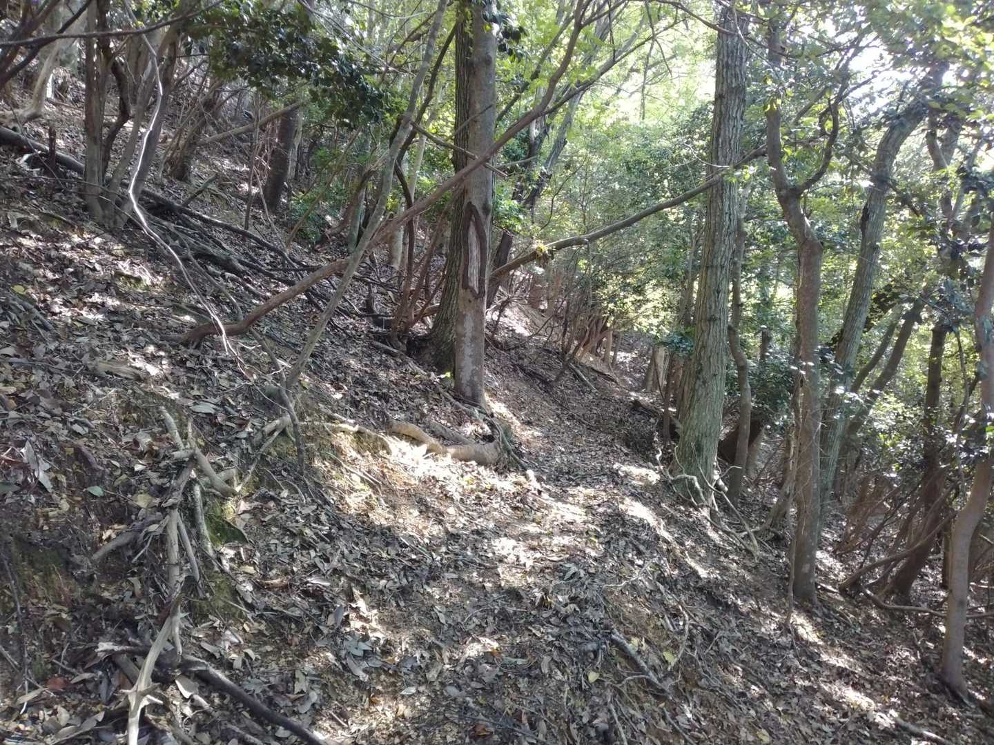 横道