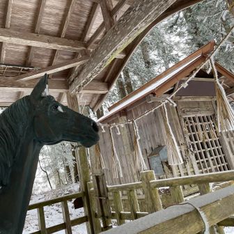 午年ですしね🐴✨
よい年になりますように😌