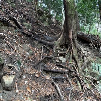 六甲山・長峰山・摩耶山 上り異常に険しい