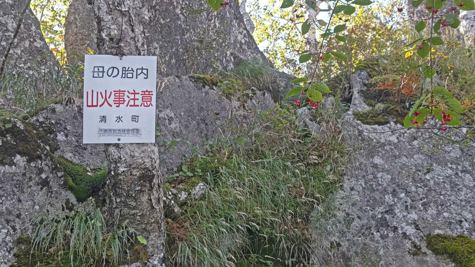 ペケレベツ岳 往復コースの写真