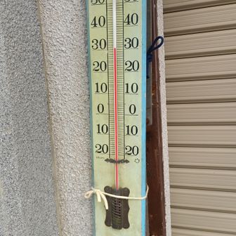 出てきました。
気温は３１℃