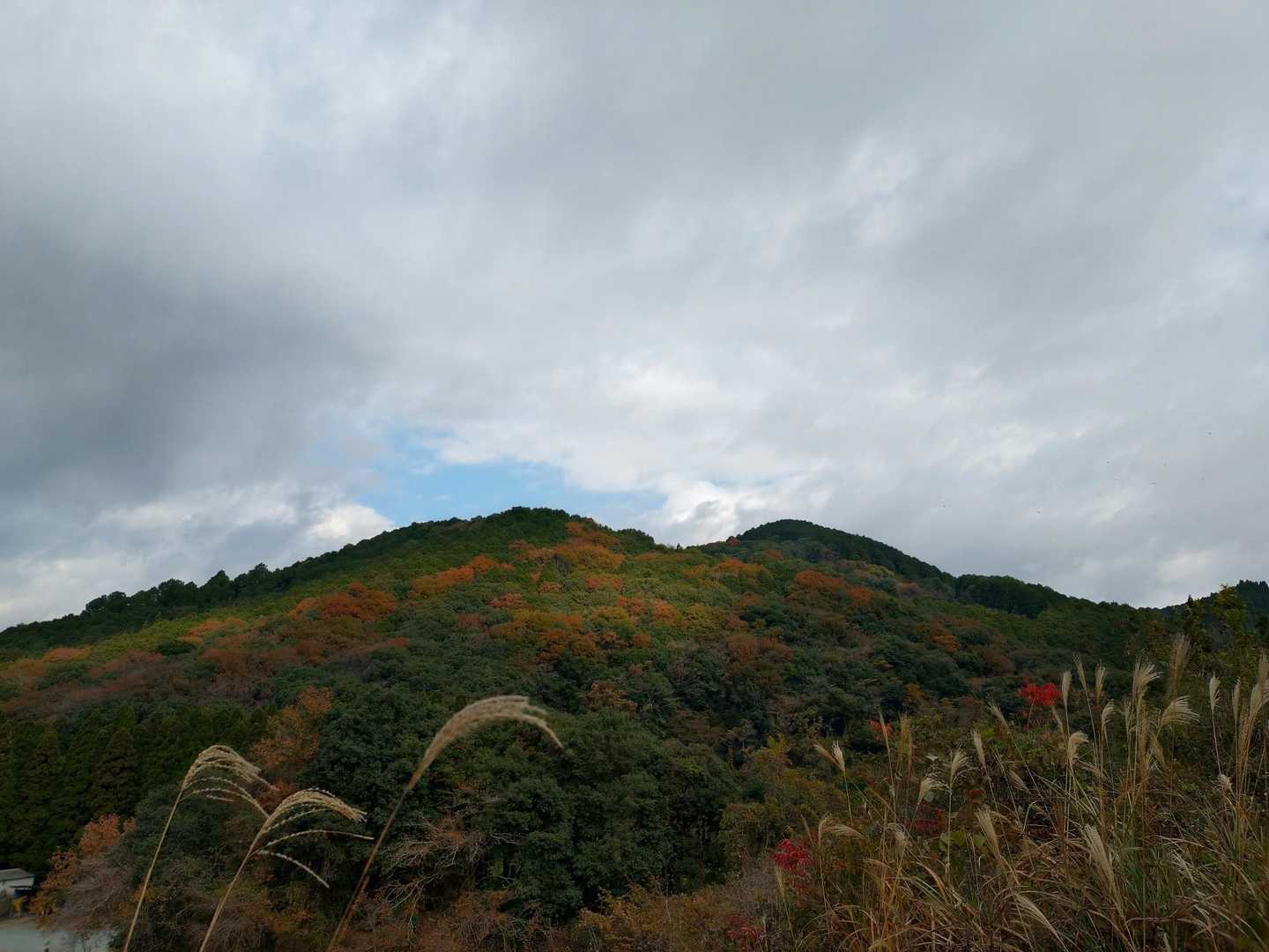 秋色❤️💛🧡