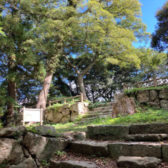 山頂かなぁ〜(あの看板たちから6分と2分で到着🥾)