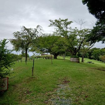 山頂手前の東屋でちょっと休憩