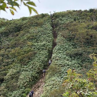 まだ登るんかーい